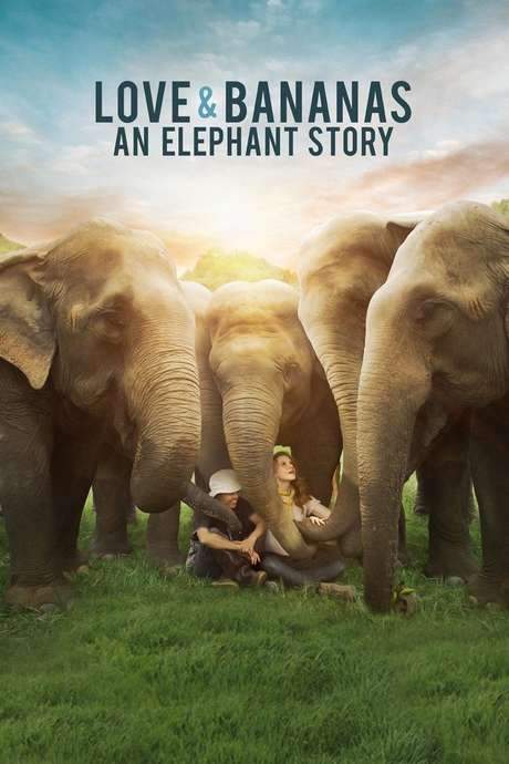 Love & Bananas: An Elephant Story